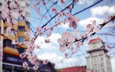 辽宁工程技术大学·校园风光