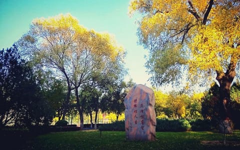 山西大学·校园一角