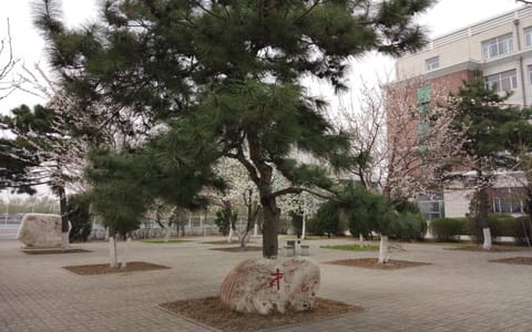 长春工业大学人文信息学院·校园景观5