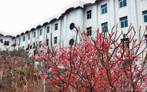 西安音乐学院·花