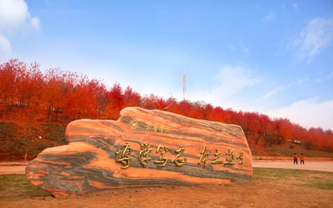 文华学院·校园风光