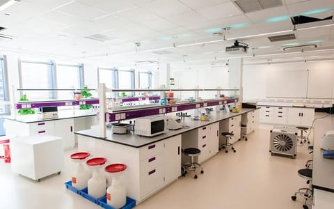上海纽约大学·校园风光