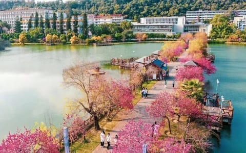 福建农林大学·校园风光