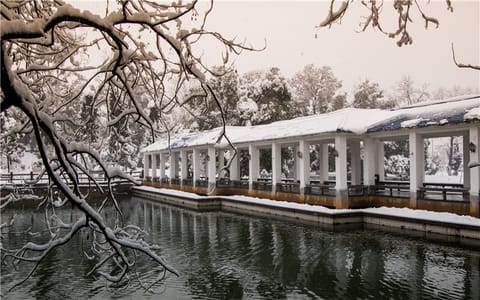 湖北理工学院·湖北理工学院双镜湖之冬