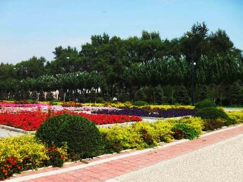 绥化学院·校园风光4