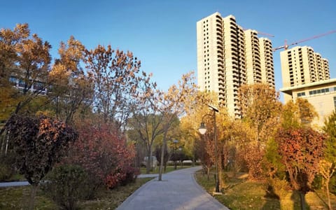 山西财经大学·林荫小路2
