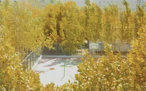 河南工业大学·篮球场
