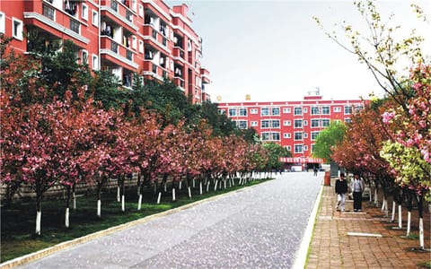 四川工业科技学院·樱花大道