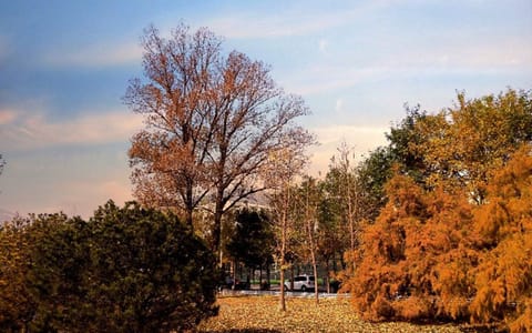 中北大学·秋日风景