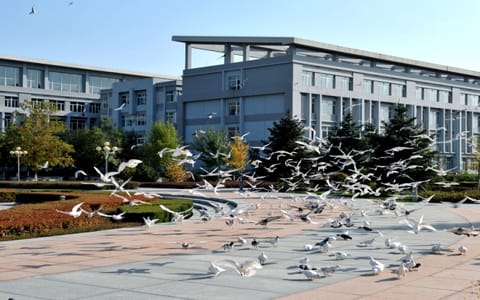 沈阳体育学院·校园风光4