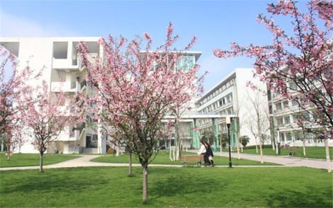 合肥大学·校园风光