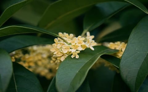上海应用技术大学·校园风光