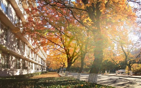 北京大学医学部·校园风光