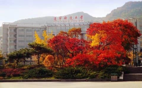 辽宁科技大学·春华秋实
