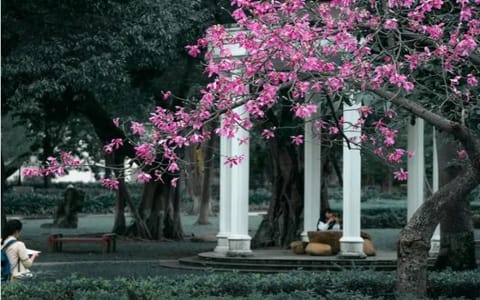 广东外语外贸大学·校园风光