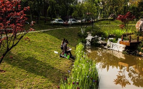 乐山师范学院·湿地景观