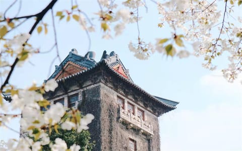 南京大学·校园风光