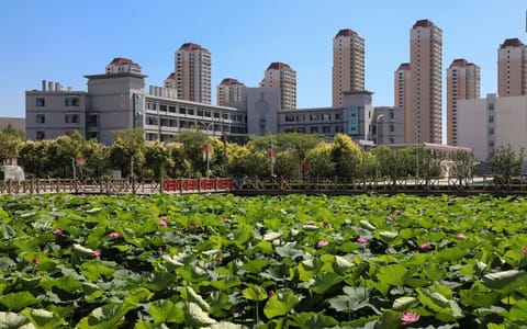天津农学院·荷花池