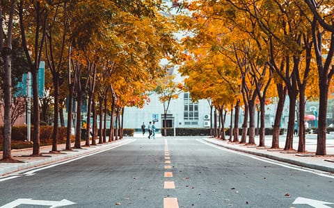 武汉工商学院·秋季校园