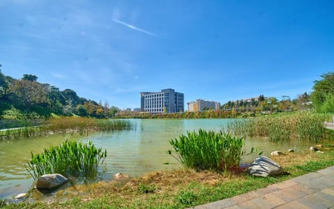 西南林业大学·秋海