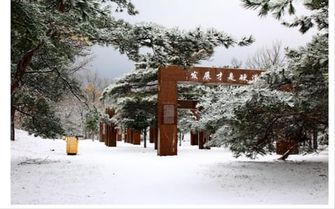 大连大学·校园一角3