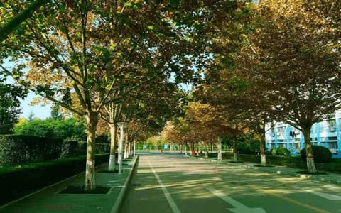 陕西服装工程学院（西安西咸新区）·图片6