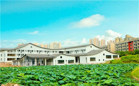 重庆移通学院·校园一角