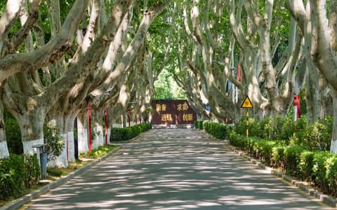 南京邮电大学·校园风光