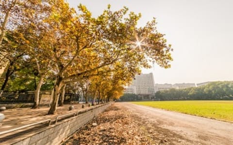 中南大学·校园风光