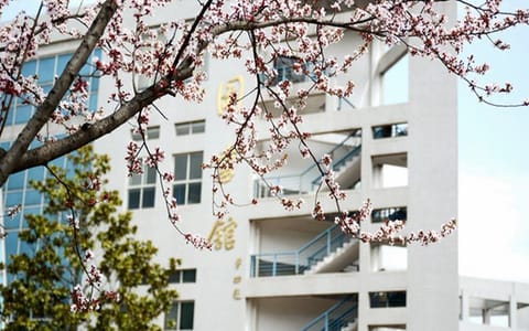 商洛学院·校园春景