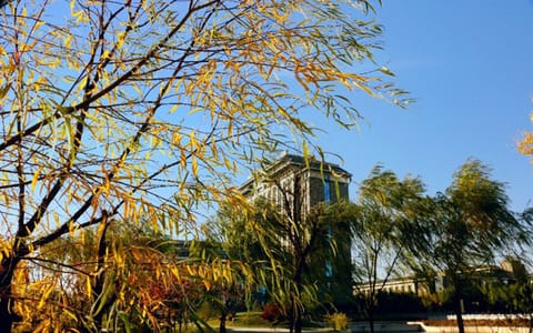 山西中医药大学·校园秋景2