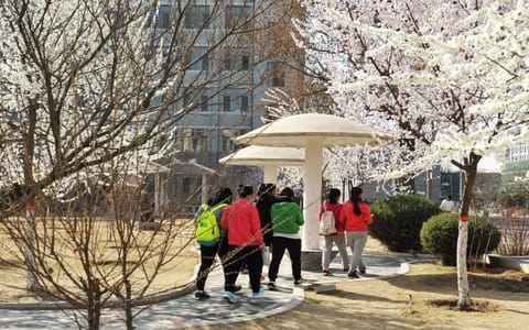 内蒙古工业大学·校园一景2