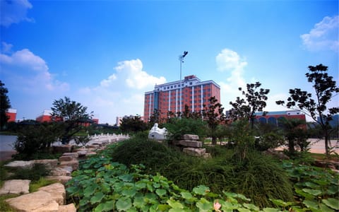 商丘工学院·校园凤光2