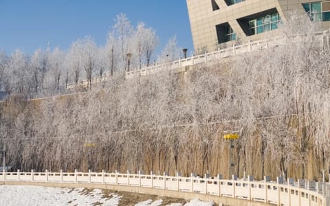 新疆医科大学·校园风光
