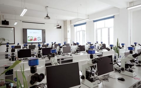 东北农业大学·校园风光