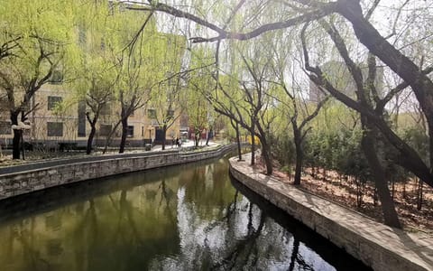 河北美术学院·校园风光20