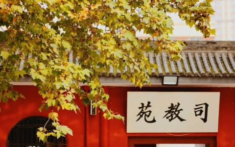 延安大学西安创新学院·司教苑秋