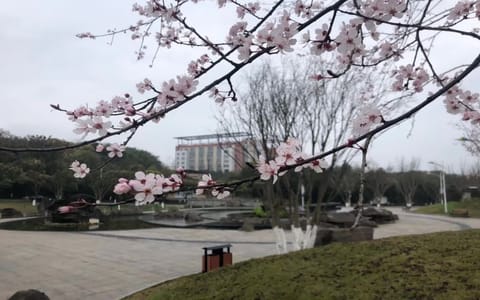 长江师范学院·校园一角13