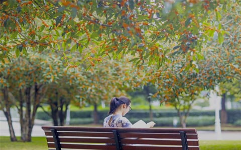 宁波财经学院·桂花林