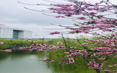 河北科技大学·校园风光