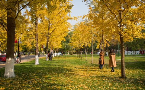 中国人民大学·秋季校园