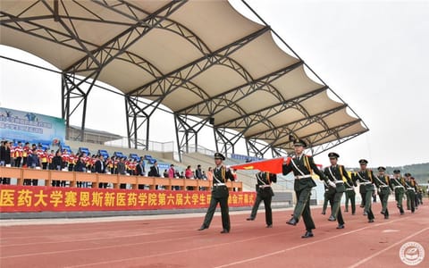 广西中医药大学赛恩斯新医药学院·运动场观众台