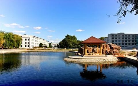 长春师范大学·长春师范大学人工湖夏景
