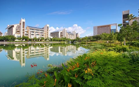 海南热带海洋学院·湖畔