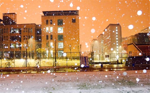 安徽中医药大学·雪夜