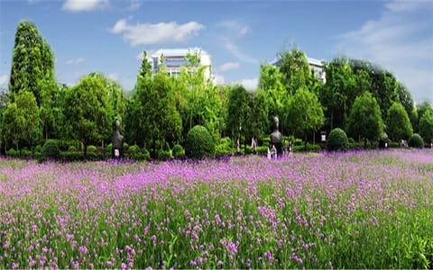 重庆师范大学·春
