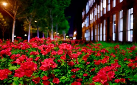 南开大学·夜景2