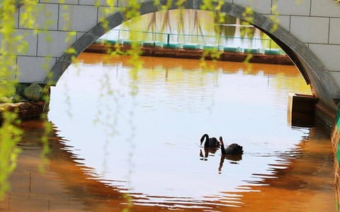 辽宁师范大学海华学院·校园风光3