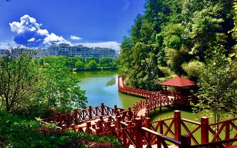 武夷学院·杜氏栈桥
