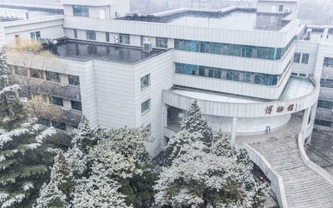 中国人民大学·冬季校园